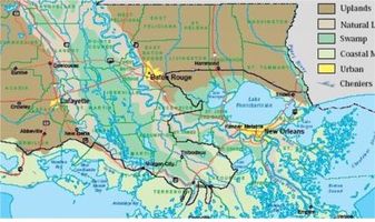 map louisiana swamp